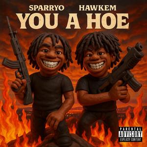 You A Hoe (feat. HawkEm) (Explicit)