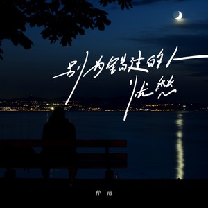 别为错过的人忧愁
