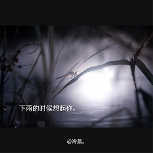 下雨的时候想起你