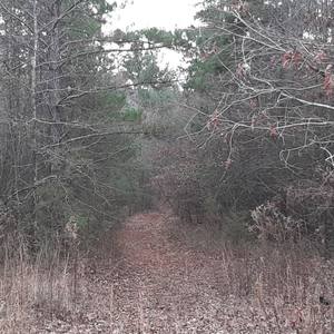 BILLY(feat. Jason Martinez) (Explicit)