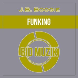 Funking (Original Mix)