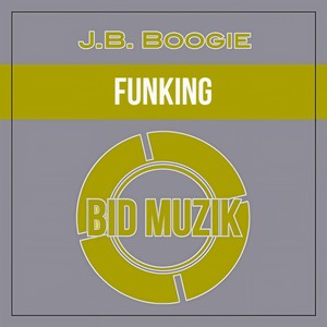 Funking (Original Mix)