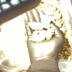 Royal rumble (Explicit)