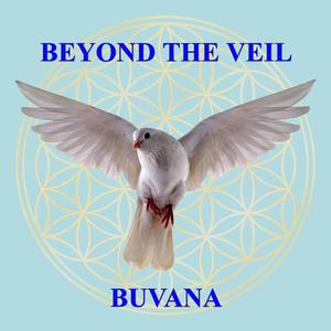 Beyond the Veil