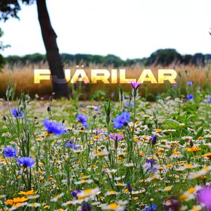 Fjärilar