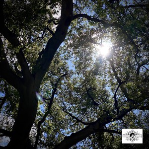 I've Just Seen Jesus(feat. Jerry & Serena)