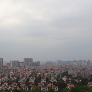 绽放