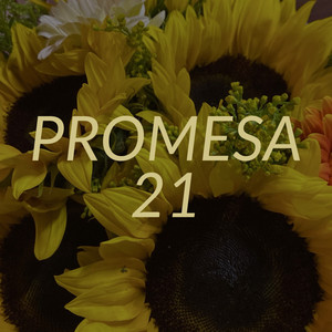 Promesa 21