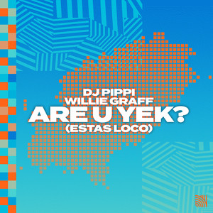Are U Yek? (Estas Loco) (Extended Mix)