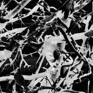 nothing will change </3 (Explicit)