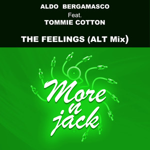 The feelings (Alt Mix)