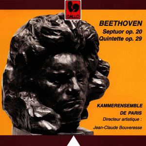 String Quintet in C Major, Op. 29: I. Allegro moderato