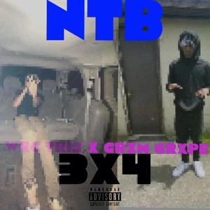 NTB (feat. Grxm Grxpe) [Explicit]