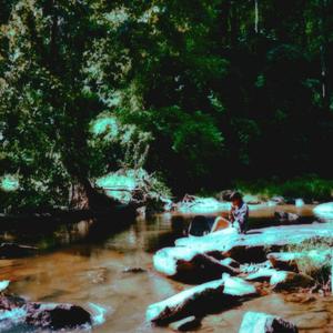 wings burnt (feat. Rachel Gonzalez)