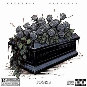 Togris (feat. NoDreams) (Explicit)