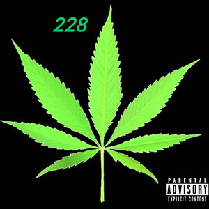228 (Explicit)
