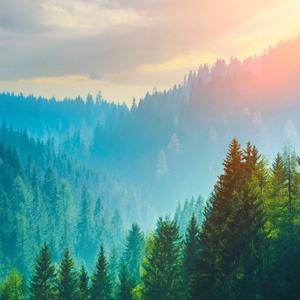 Stop Playin' (Explicit)