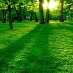 bang like a 30 clipp (Explicit)