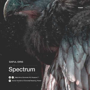 Spectrum (Original Mix)