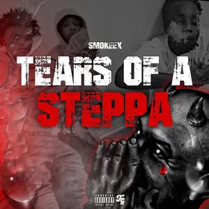 Tears Of A Steppa (Explicit)