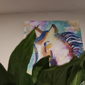 El Song Del Toro Toro