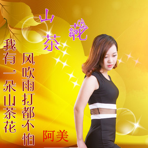 我有一朵山茶花