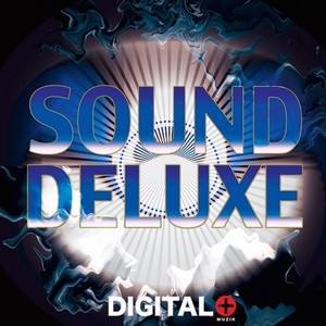 The Happy Widow (Frank Le Deep Mix)