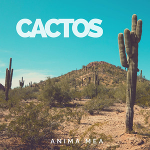 Cactos