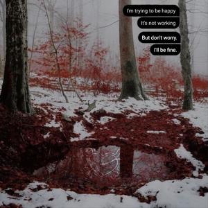 the concept of being an empty shell