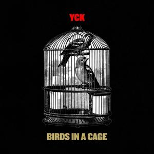 Birds in a Cage