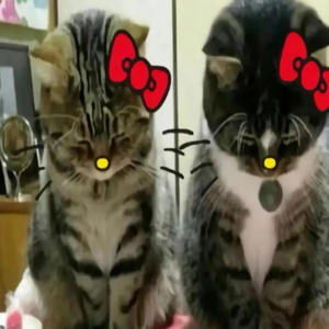 Jerk! (feat. Lordzafin) (Explicit)