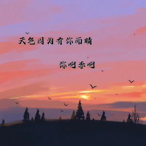 我才不将就-你啊李啊