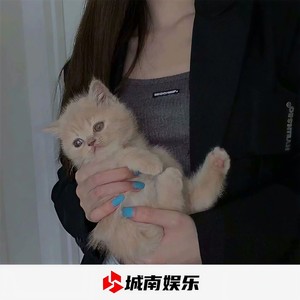 潮音混搭 (DJ版)