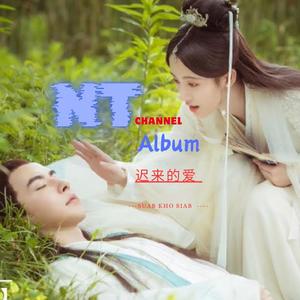 迟来的爱