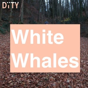 White Whales