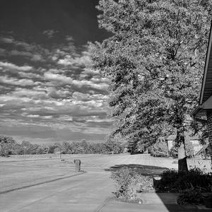 Bye Bye (feat. Ev Malone)