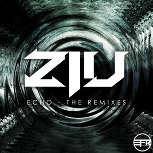 Echo (The Remixes)