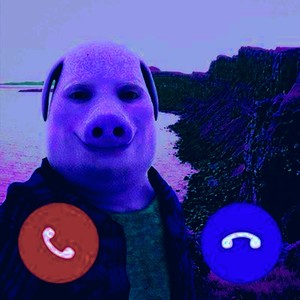 JHON PORK PHONK (SUPER SLOWED)