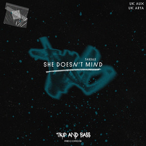 She Doesn't Mind - speed garage (Extended Mix)