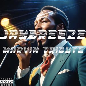 Marvin Tribute (Explicit)