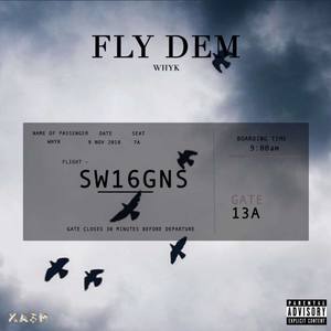 FLY DEM (Explicit)