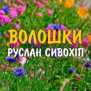 Волошки