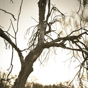 Nobody(feat. Matt Greco)