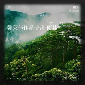 热带雨林《作词韩英伟 作曲乌兰托嘎 演唱夜莺姐妹》