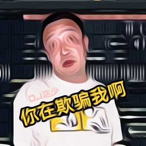 你在欺骗我啊 (DJ达少版)
