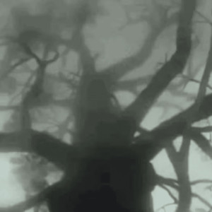 NIE MÓGŁBYM CIE KUPIĆ (Explicit)