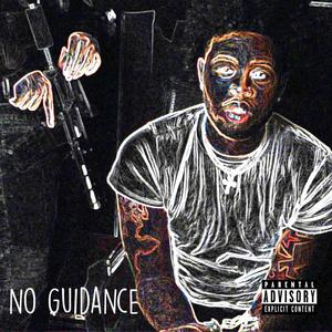 NO GUIDANCE (Explicit)