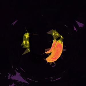 rabbithole(feat. Pog) (Explicit)