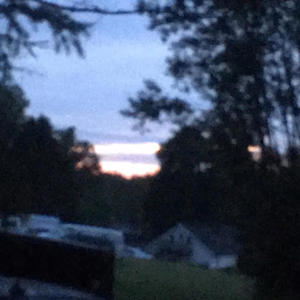 hallucinatixn (feat. L.C. & Jear Bear) (Explicit)