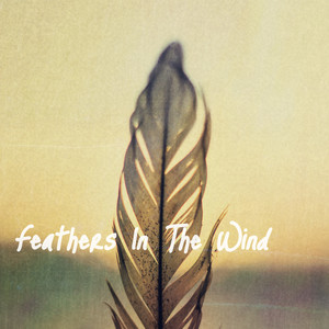 Feathers In The Wind